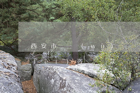 西安市債務(wù)糾紛律師所(西安免費(fèi)咨詢貸款債務(wù)律師)