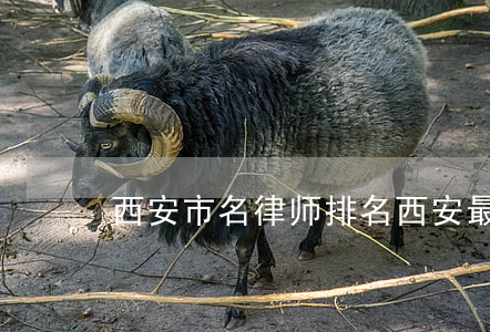 西安市名律师排名(西安最好的律师是谁)