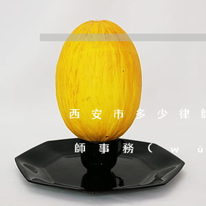 西安市多少律師事務(wù)所(陜西西安律師事務(wù)所地址)
