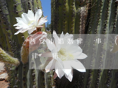 西安市婚姻律師事務(wù)(西安資深婚姻律師所)