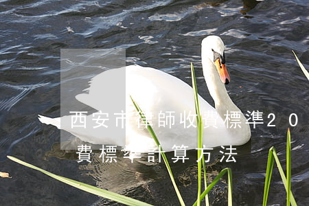 西安市律師收費標準2020(西安市律師收費標準計算方法)