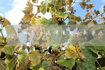 西安市法律援助(西安市法律援助中心上班時間)