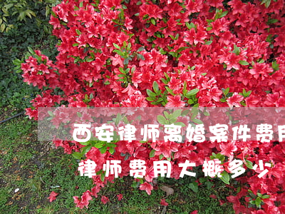 西安律师离婚案件费用是多少(一般离婚案的律师费用大概多少)
