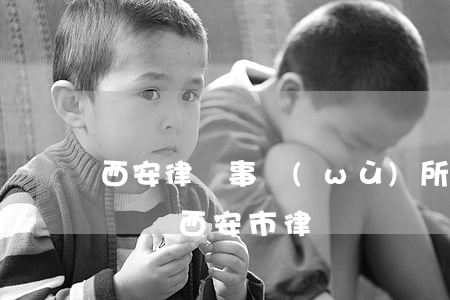 西安律師事務(wù)所房產(chǎn)糾紛(西安市律師)
