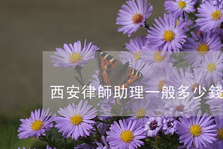 西安律師助理一般多少錢(西安找律師的費用)