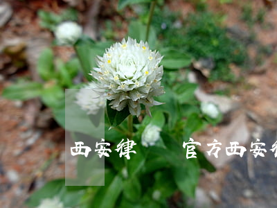 西安律師網官方(西安律師所免費咨詢)