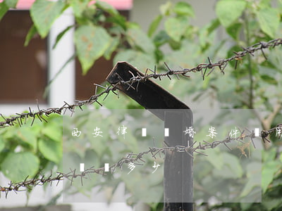 西安律師離婚案件費用是多少(一般離婚案律師費多少)