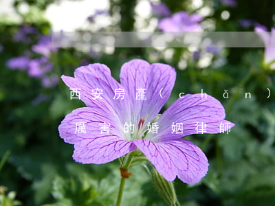 西安房產(chǎn)糾紛最好的律師(西安厲害的婚姻律師)