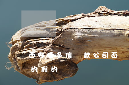 西安捷多信貸款公司面簽(西安捷多信貸款真的假的)