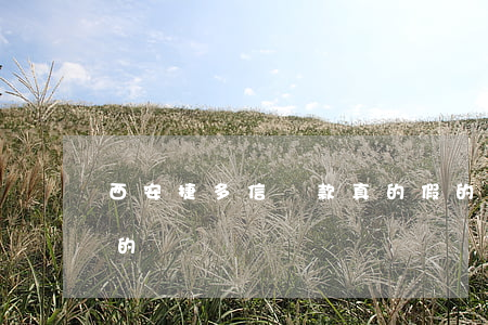 西安捷多信貸款真的假的(捷信貸款是不是真的)