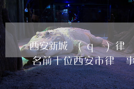 西安新城區(qū)律師事務(wù)所排名前十位(西安市律師事務(wù)所排名前十名)