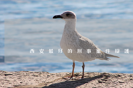 西安最好的刑事案件辯護(hù)律師