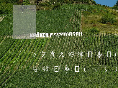西安有名的律師事務(wù)所地址(陜西西安律師事務(wù)所地址)