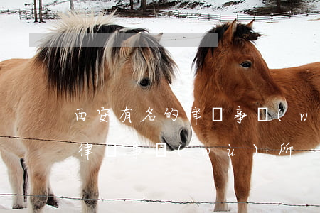 西安有名的律師事務(wù)所(西安十大名律師事務(wù)所)