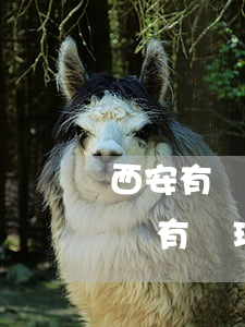西安有沒有處理信用卡逾期的公司-西安有沒有處理信用卡逾期的公司啊