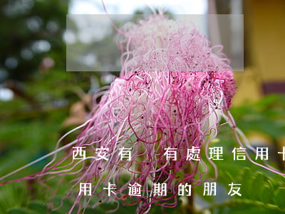 西安有沒有處理信用卡逾期的公司(有沒有信用卡逾期的朋友)