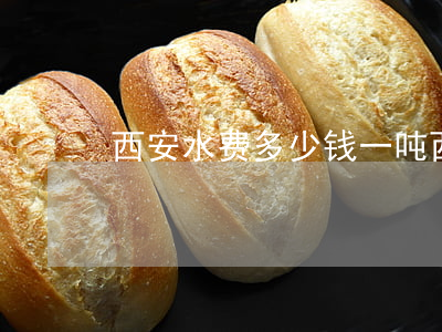 西安水费多少钱一吨(西安民用水多少钱一吨)