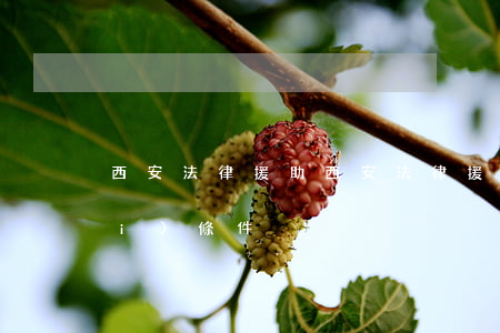 西安法律援助(西安法律援助中心免費(fèi)條件)