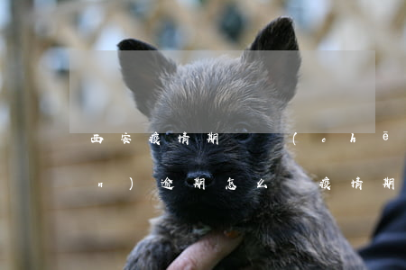 西安疫情期間車(chē)輛保險(xiǎn)逾期怎么辦(疫情期間車(chē)保險(xiǎn)到期怎么辦)