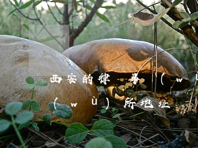 西安的律師事務(wù)所(西安的律師事務(wù)所地址)