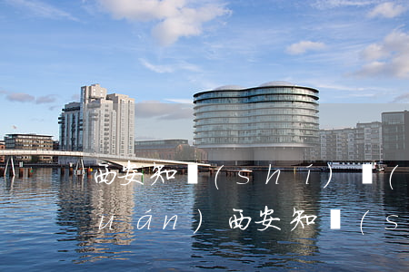 西安知識(shí)產(chǎn)權(quán)(西安知識(shí)產(chǎn)權(quán)局專利局)