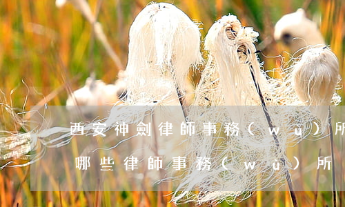 西安神劍律師事務(wù)所怎么樣(西安有哪些律師事務(wù)所)