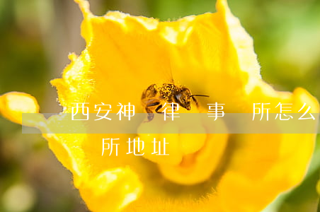 西安神劍律師事務所怎么樣(陜西西安律師事務所地址)