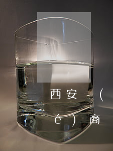 西安網(wǎng)貸信用卡逾期協(xié)商