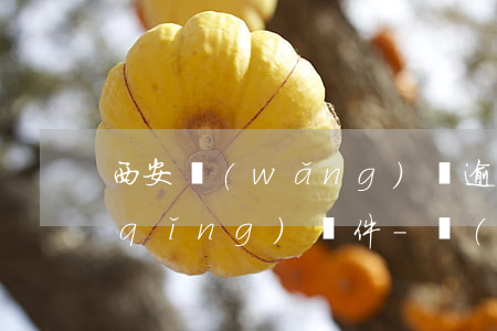 西安網(wǎng)貸逾期停息掛賬申請(qǐng)條件-網(wǎng)貸申請(qǐng)停息掛賬的條件
