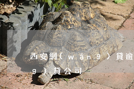 西安網(wǎng)貸逾期(西安網(wǎng)貸公司)
