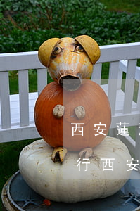 西安蓮湖區(qū)律師事務(wù)所排行(西安民事訴訟律師事務(wù)所排名)