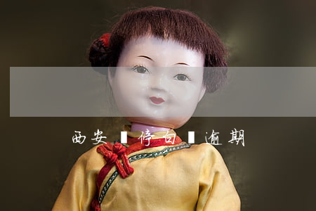西安違停白條逾期
