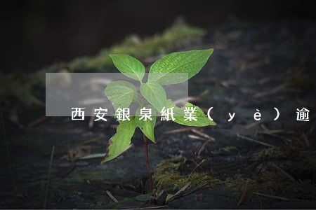 西安銀泉紙業(yè)逾期貸款