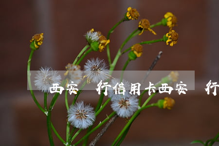 西安銀行 信用卡（西安銀行信用卡利息）