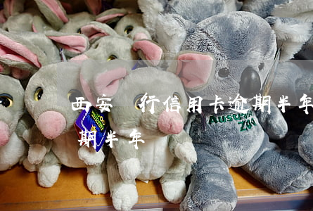 西安銀行信用卡逾期半年(徽商銀行信用卡逾期半年)