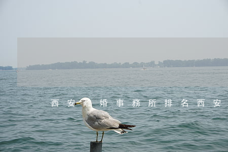 西安離婚事務所排名(西安離婚事務所排名)