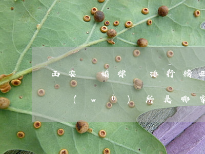 西安離婚律師排行榜(西安最好的離婚律師事務(wù)所是哪家)
