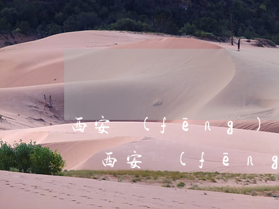 西安風(fēng)險(xiǎn)代理律師(西安風(fēng)險(xiǎn)代理律師事務(wù)所)