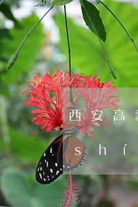 西安高新拆遷逾期過渡費(fèi)何時(shí)發(fā)放-西安高新拆遷逾期過渡費(fèi)何時(shí)發(fā)放的