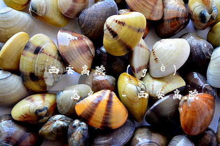 西安高陵個(gè)體戶逾期報(bào)稅怎么辦-西安高陵個(gè)體戶逾期報(bào)稅怎么辦手續(xù)