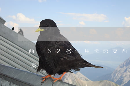 西寧62名信用卡透支(西寧62名信用卡透支)
