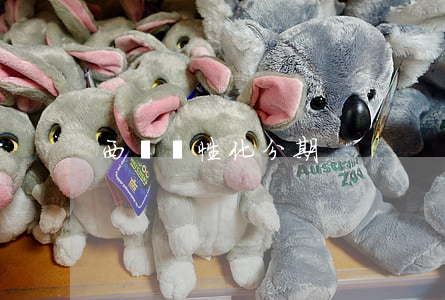 西寧個性化分期