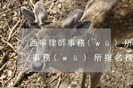 西寧律師事務(wù)所排名(西安十大律師事務(wù)所排名榜)