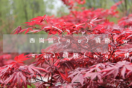 西崗區(qū)債務(wù)律師 西崗區(qū)債務(wù)律師電話