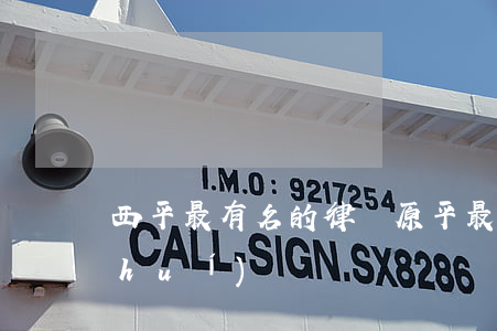 西平最有名的律師(原平最好的律師是誰(shuí))