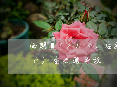 西朗學(xué)生交通事故(西朗學(xué)生交通事故)