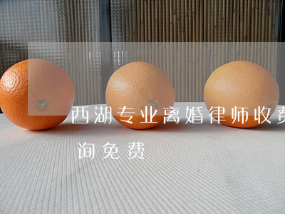 西湖专业离婚律师收费多少(杭州离婚律师咨询免费)
