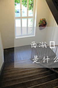 西湖單雙號(hào)限行規(guī)則是什么（基本出行規(guī)定）