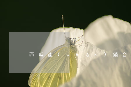 西瓜產(chǎn)銷合同