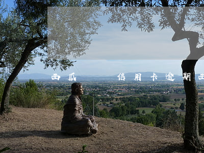西瓜視頻信用卡逾期(西瓜錢包逾期了怎么樣)